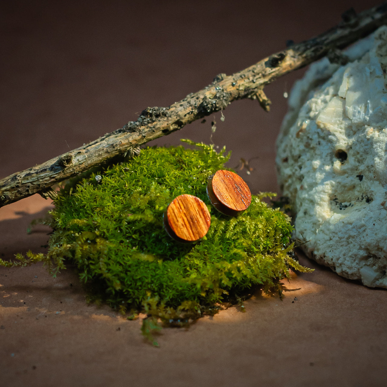 Puces d’oreilles rondes